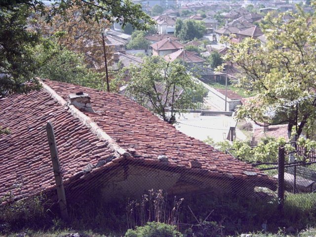 Photograph
