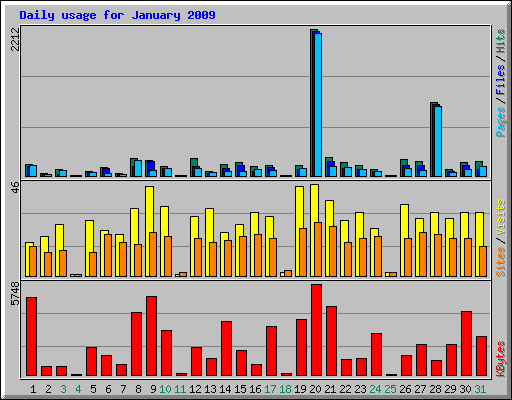 Daily usage for January 2009