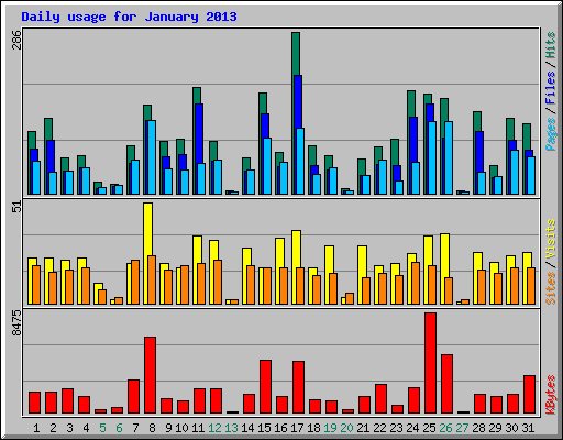 Daily usage for January 2013