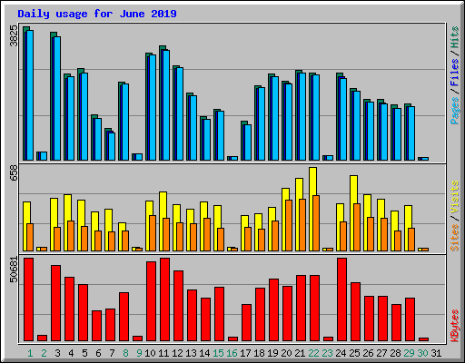 Daily usage for June 2019