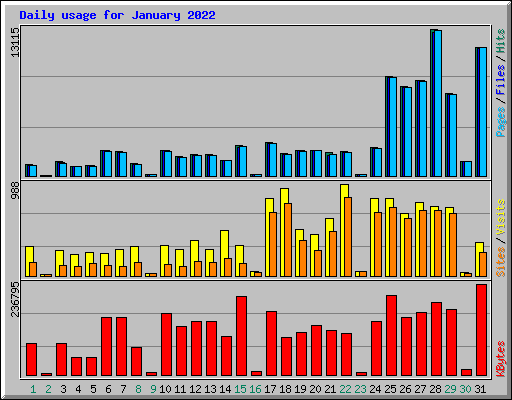 Daily usage for January 2022