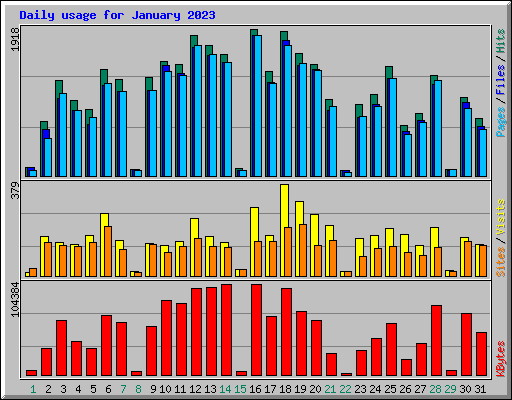 Daily usage for January 2023