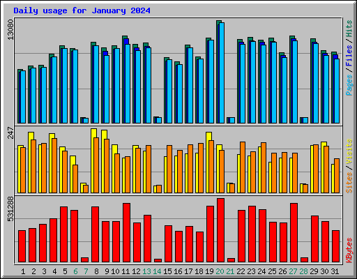 Daily usage for January 2024