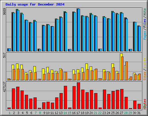 Daily usage for December 2024