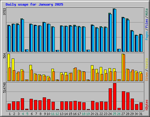 Daily usage for January 2025
