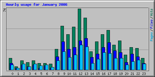 Hourly usage for January 2006