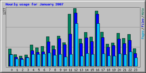 Hourly usage for January 2007