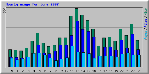 Hourly usage for June 2007