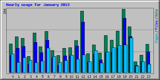 Hourly usage for January 2013