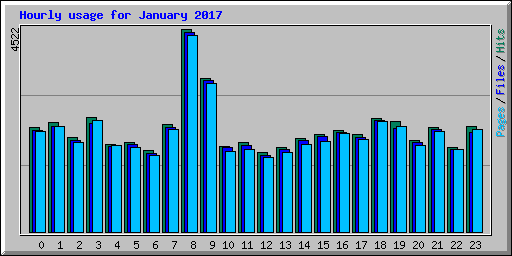 Hourly usage for January 2017