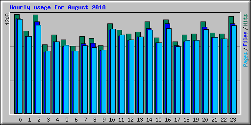 Hourly usage for August 2018