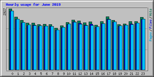 Hourly usage for June 2019