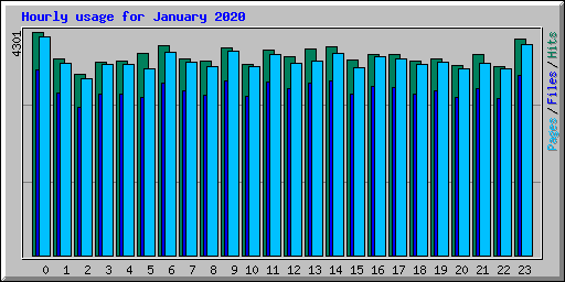 Hourly usage for January 2020