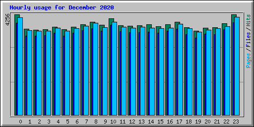 Hourly usage for December 2020
