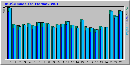 Hourly usage for February 2021