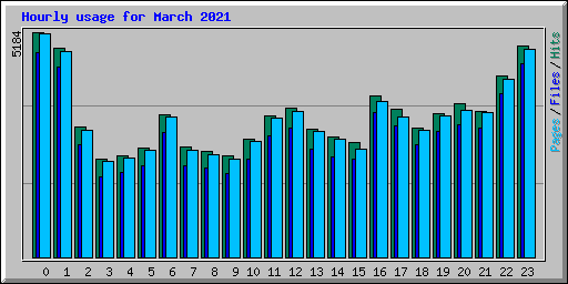 Hourly usage for March 2021