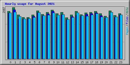 Hourly usage for August 2021