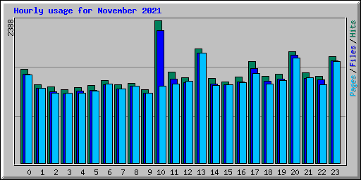 Hourly usage for November 2021