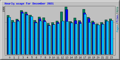 Hourly usage for December 2021