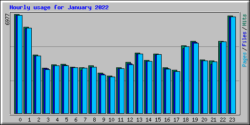 Hourly usage for January 2022