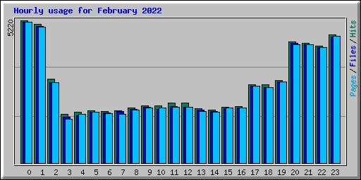Hourly usage for February 2022