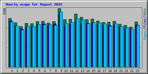 Hourly usage for August 2022