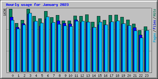 Hourly usage for January 2023