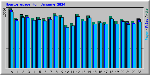 Hourly usage for January 2024