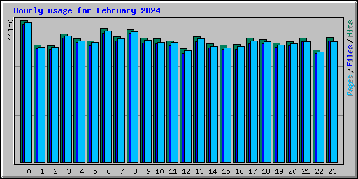 Hourly usage for February 2024