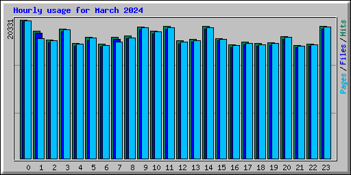 Hourly usage for March 2024