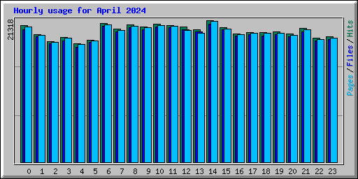 Hourly usage for April 2024
