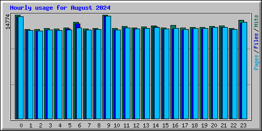 Hourly usage for August 2024