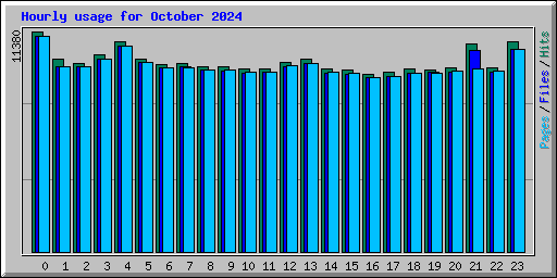 Hourly usage for October 2024