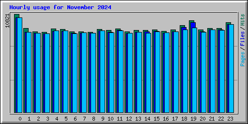 Hourly usage for November 2024