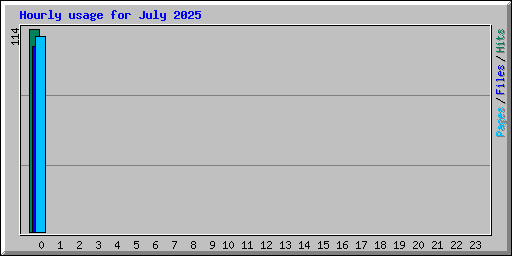 Hourly usage for July 2025