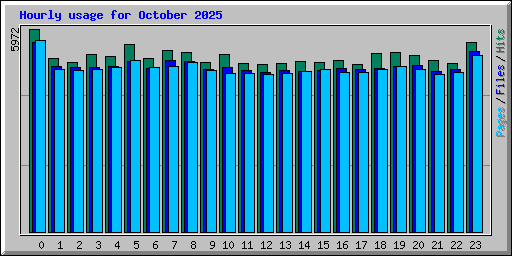 Hourly usage for October 2025