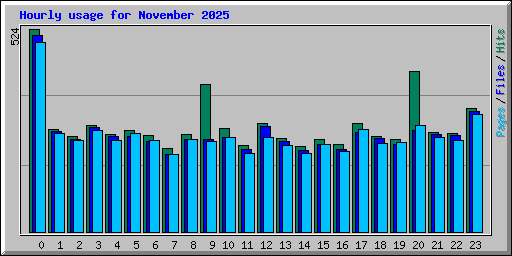 Hourly usage for November 2025