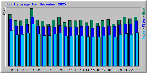 Hourly usage for December 2025