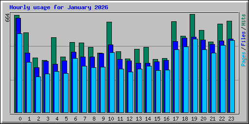 Hourly usage for January 2026