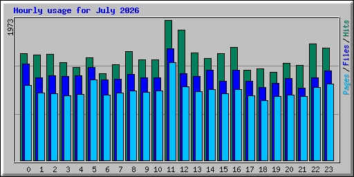 Hourly usage for July 2026